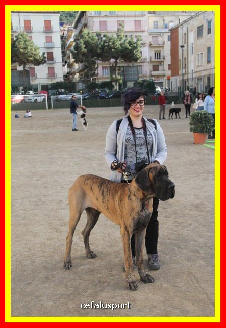 180311 mostra_canina 148.jpg
